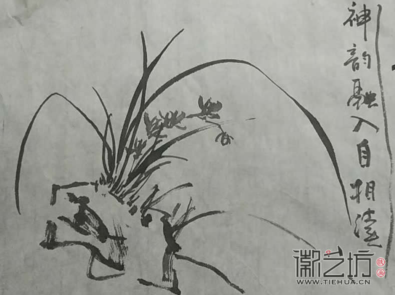 2017.3.18鐵畫(huà)知行社第二期課程報(bào)道15 (2)