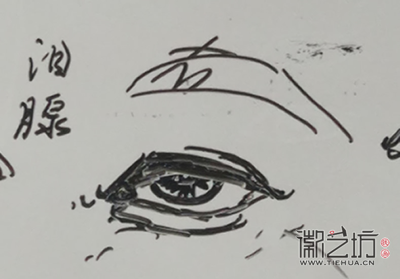 2017.4.15沒(méi)有對(duì)比不是藝術(shù)&mdash;&mdash;鐵畫知行社第四期課程報(bào)道10