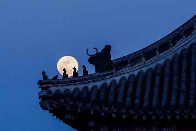 中國(guó)絕色15