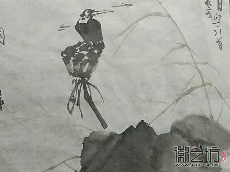 2017.3.18鐵畫(huà)知行社第二期課程報(bào)道17 (2)