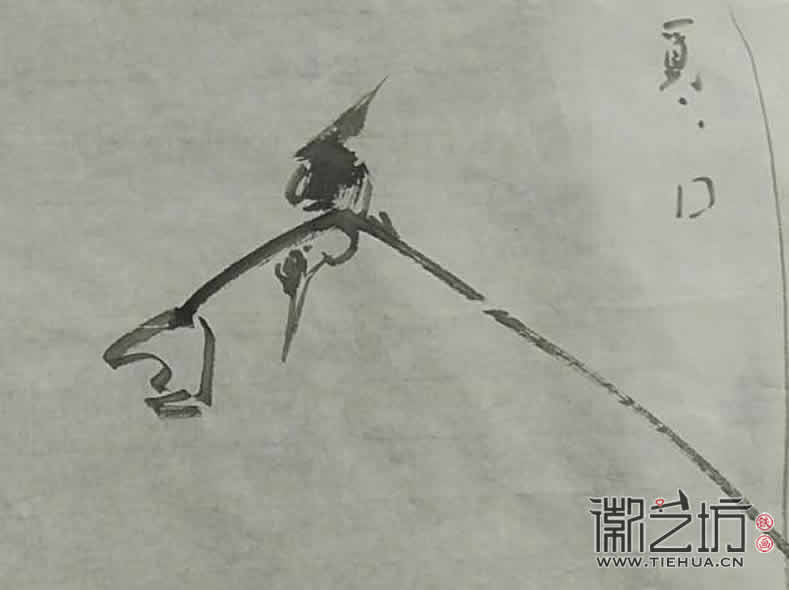 2017.3.18鐵畫(huà)知行社第二期課程報(bào)道17 (3)