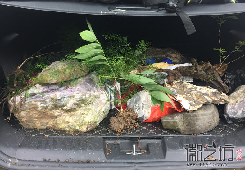 蕪湖鐵畫知行社第二十八期&mdash;&mdash;尋訪宣石61